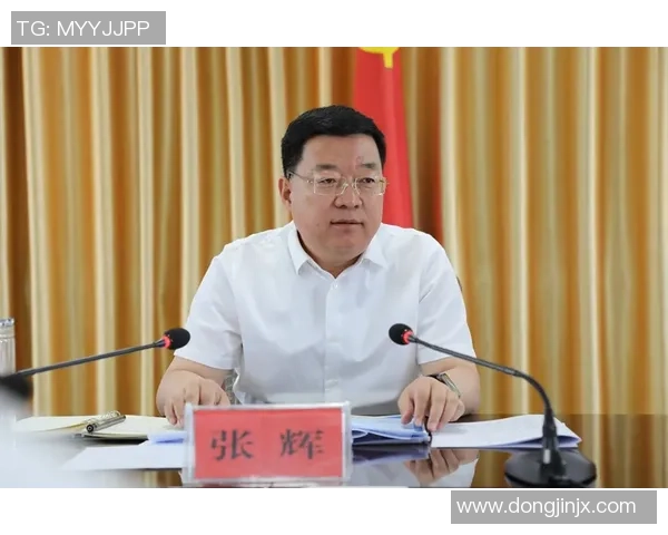 飞盘运动的崛起与刘丽的成功秘诀深度探讨